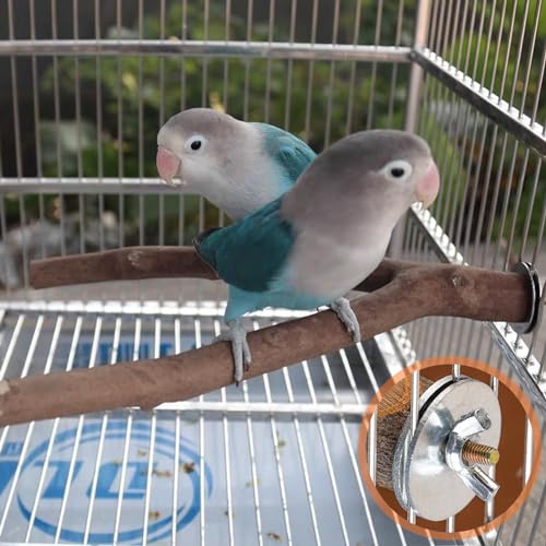 Image of 16 PCS Natural Wood Bird Perches Wooden Parrot Perch Stand Fork Toys Bird Cage Hanging Perch Platform for Macaws, Small Parakeets, Conures, Budgies, Finches