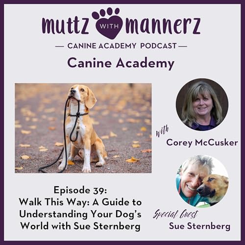 Episode 39: Walk This Way: A Guide to Understanding Your Dog’s World with Sue Sternberg