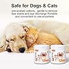 Dog-Eye-Wipes-Tear-Stain-Remover-for-Dogs-and-Cats-Finger-Eye-Wash-Pads-for-Pets-100-Count-Dog-Eye-Cleaning-Wipes-Unscented-Gentle-Pet-Tear-Wipe-Removes-Dirt-and-Discharge Dog Eye Wipes - Tear Stain Remover for Dogs and Cats | Gentle & Unscented