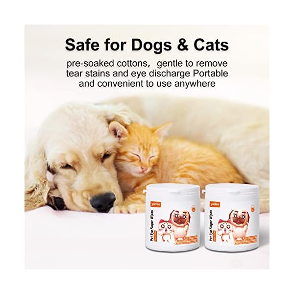 Dog-Eye-Wipes-Tear-Stain-Remover-for-Dogs-and-Cats-Finger-Eye-Wash-Pads-for-Pets-100-Count-Dog-Eye-Cleaning-Wipes-Unscented-Gentle-Pet-Tear-Wipe-Removes-Dirt-and-Discharge Dog Eye Wipes - Tear Stain Remover for Dogs and Cats | Gentle & Unscented