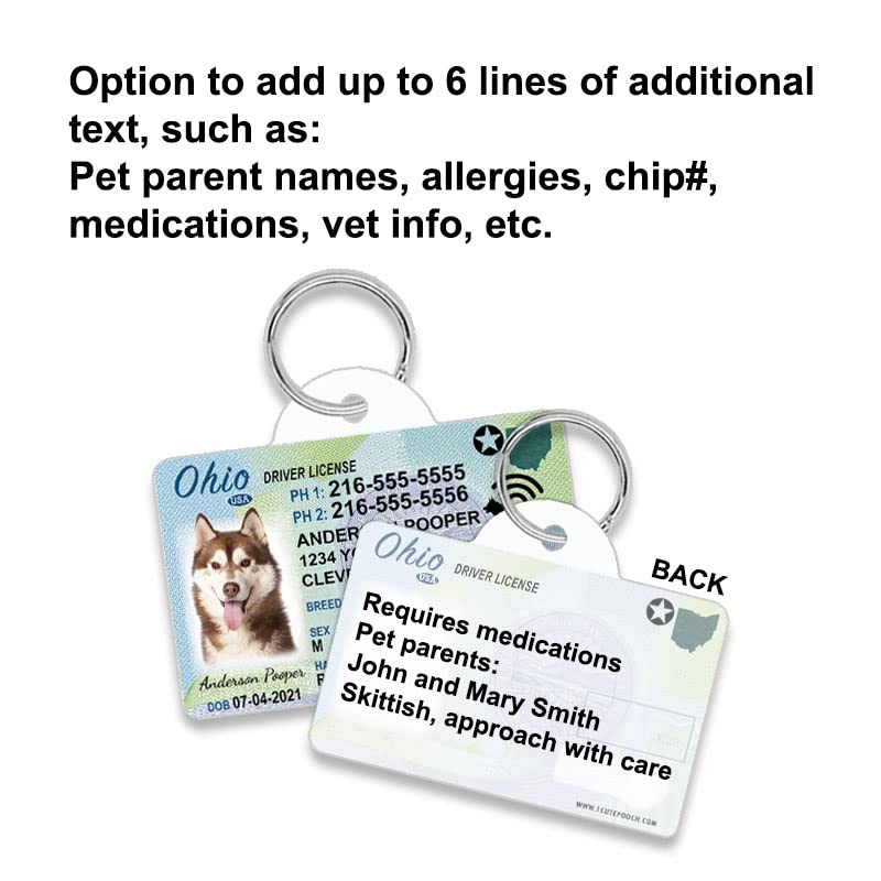 Do I Need A Dog License In Ohio