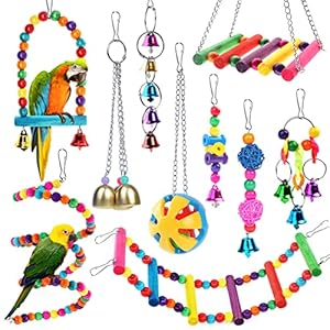 Newthinking Bird Parrot Toys Set, 10 Pack Budgie Toys Swings Hammock Stand Hanging Bell Bird Cage Toys and Accessories for Cockatiels, Small Parakeets, Love Birds, Finches