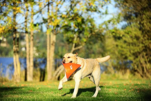 Chuckit! Heliflight, S