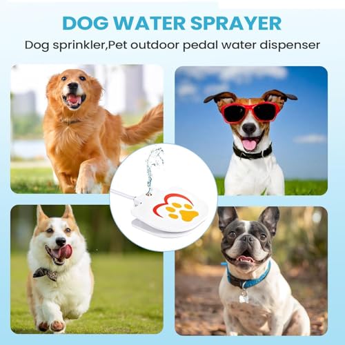Juguetes de agua para perro que evitan golpes de calor en el jardín 4