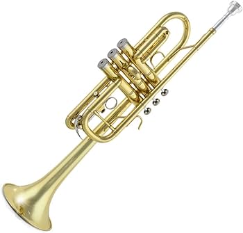 Amazon | プロのトランペット C管トランペット、表面は金色ラッカー