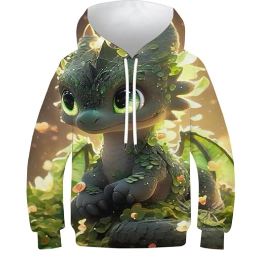 Pull dragon 3D pour enfants : le sweat à capuche idéal pour le collège et les loisirs