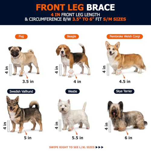 Image of Labra Dog Front Leg Brace - Compression Wrap with Adjustable Straps - Dog Wrist Brace for Support - Leg Sleeve to Stop Licking - Aid in Wound Care and Recovery - Small /Medium