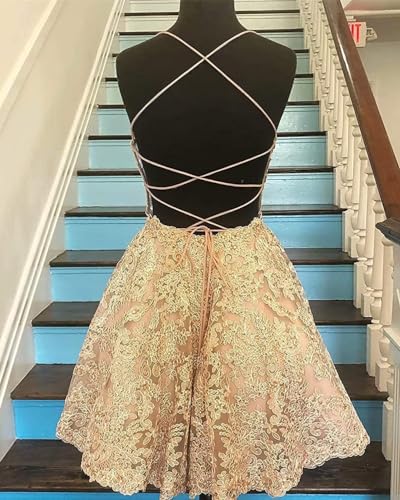 Tulle Prom Dresses Spaghetti Strap Lace Applique Short Evening Dresses3