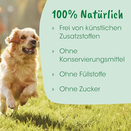 cdVet Naturprodukte Welpenmilch 90 g - Hund, Katze, Nager - Milchaustausch-Ergänzungsgfuttermittel - Ersatzmilch - Anteil an hochwertigem Kolostrum - stabil bleibende Verdauung - Abwehrkomponenten -