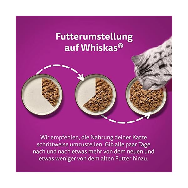 Whiskas Adult 1+ Katzennassfutter Tasty Duo Surf & Turf in Gelee, 84 Portionsbeutel, 84x85g (1 Großpackung) – Hochwertiges Katzenfutter nass, für ausgewachsene Katzen – Bild 8