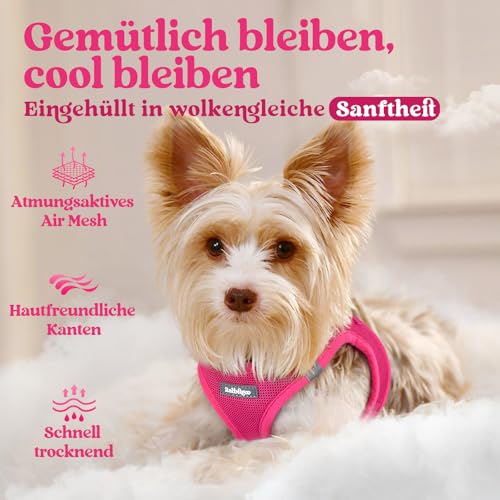 rabbitgoo Hundegeschirr Kleine Hunde, Step-in Welpengeschirr Weich Mesh für Spaziergänge, Atmungsaktives und Reflektierendes Brustgeschirr für Kleine und Mittelgroße Hunde, Rosarot, XS