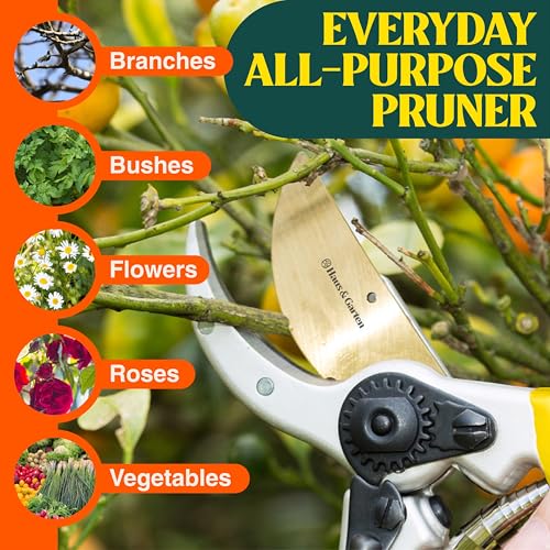 Image of Haus & Garten ClassicPRO 8.5 inch Premium Titanium Bypass Garden Shears - Use as Pruners, Pruning Shears for Gardening, Hand Pruners, Handheld Garden Clippers Scissors Tool