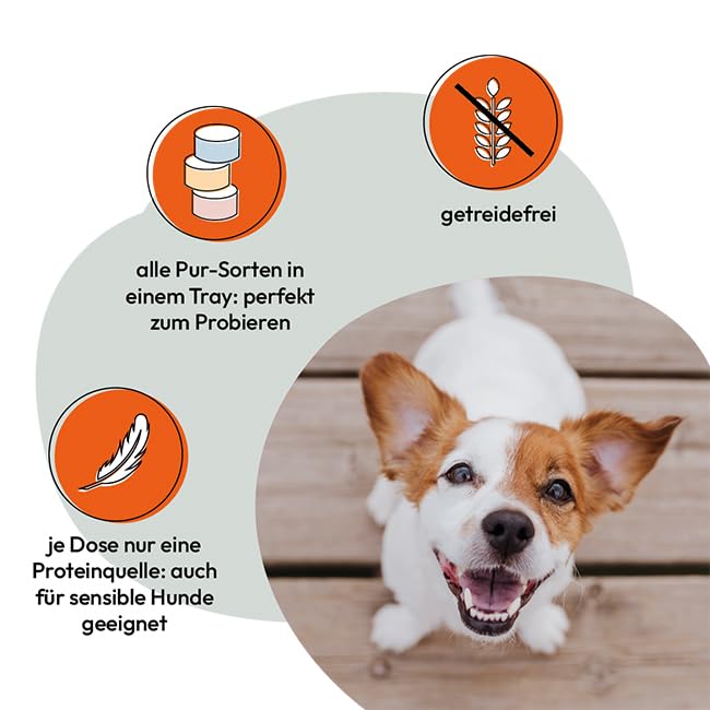 GRAU – das Original – Nassfutter für Hunde - Mischtray Hund Pur Generation Pet, 6er Pack (6 x 200 g), Mix aus Allen Pur-Sorten