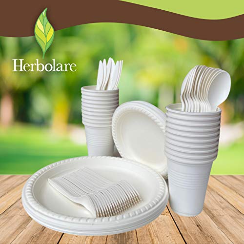 Platos Y Cubiertos, Kitchen plato pozolero desechable Marca Herbolare (3)