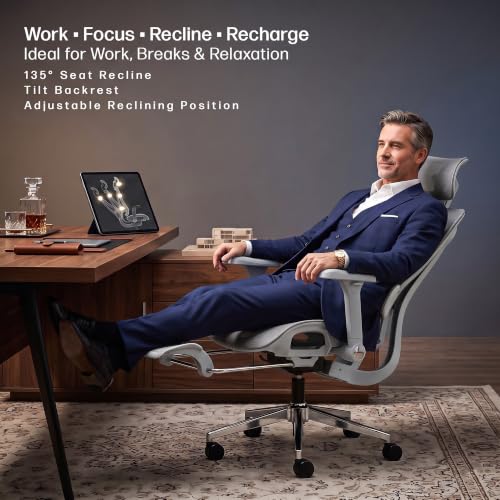Image of DROGO Ergosphere Ergonomic Office Chair for Work with 3-Gear Floating Adjustable Backrest | 4D Armrest, 3D Headrest | Mesh Computer Chair with 135 Recline Lock | Dual Lumbar Support & Footrest (Grey)