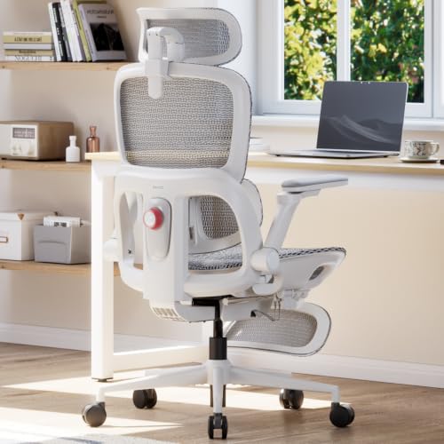 Image of SIHOO B300 Pro Ergonomic Office Chair with Footrest, 4D Lumbar Support