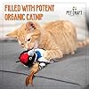 Pet Craft Supply Kitty Condor Crazy Catnip, Funny Cuddling Chasing Hunting Irresistible Stimulating Soft Plush Boredom Relief Interactive Cat Toy with Realistic Feathers, All Breed Sizes (Pack of 2) #2