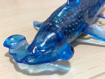 オーシャンアタック ブックレット付き Amazon.co.jp: シーモンスターズ&Co. ビッグ アカシュモクザメ