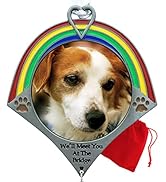 Pet Remembrance Rainbow Bridge Photo Ornament