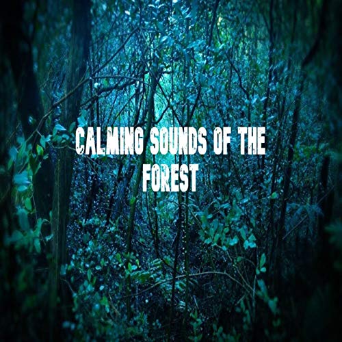 Calming Sounds Of The Forest - Nature Sounds Recording-meditation, Relaxation And Development Of