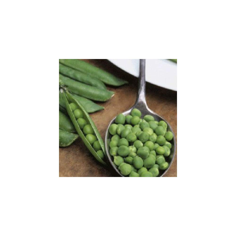 Pea Provencal Petit Pois 500 (95.3g's Approx.) Vegetable Seeds - Sweet & Tender - Excellent Variety