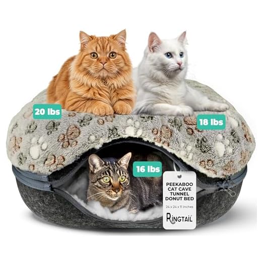 RINGTAIL Peekaboo Cat Cave Bed