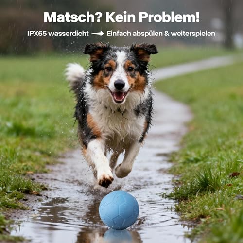 Pet Prime Robuster elektrischer Hundeball mit unregelmäßigem Rollen & farbigen Lichtern - Kaubeständiger ETPU Fußball, schnelles Aufladen, IPX65 wasserdicht - Lustiges interaktives Hundespielzeug