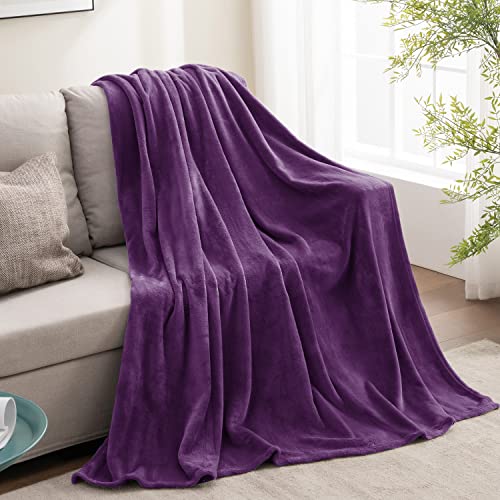 Image of BEDELITE Fleece Blanket Purple Throw Blankets for Couch & Bed, Luxury Plush Cozy Fuzzy Blanket 50 inch x 60 inch, Super Soft Warm Lightweight Throw Blanket for Travel Camping