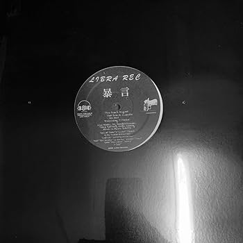 Amazon.co.jp: 暴言 レコード 12インチ : おもちゃ