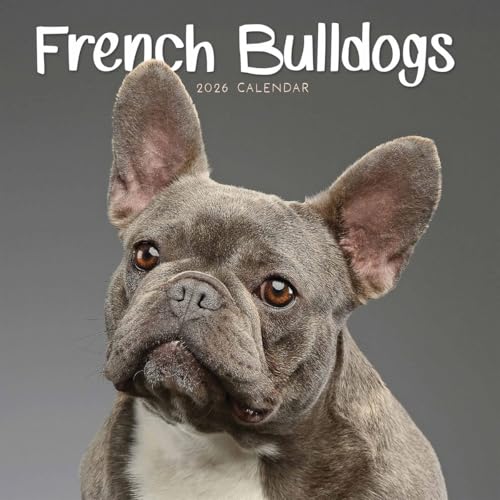 French Bulldogs 2026 Mini Wall Calendar