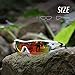 TOREGE Polarized Sports Sunglasses for Men Women Cycling Running Driving Fishing Golf Baseball Glasses TR002 (White&Black)