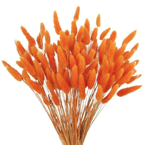 Flores secas de cola de conejo 120 unidades color naranja miniatura 1