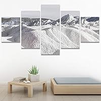 SIGNWIN 5 Panel Canvas Wall Art Modern Art Desert Multicolor Nature Photography Relax/Calm Southwest for Home Decorations Ready to Hang - 60