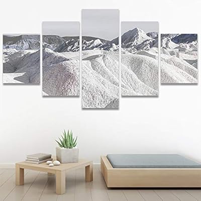SIGNWIN 5 Panel Canvas Wall Art Modern Art...