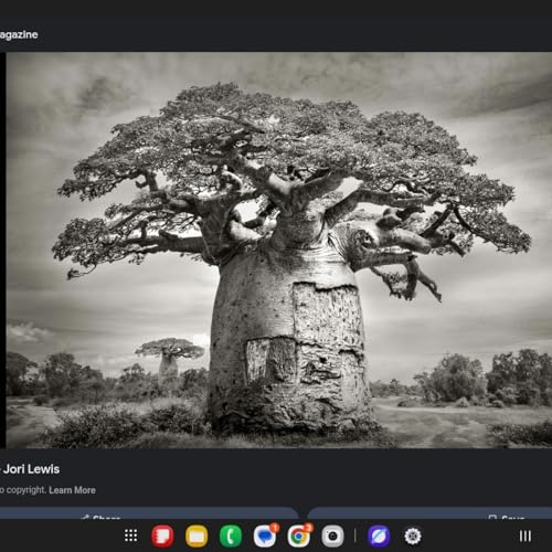 Introduction to the concept of human perfection