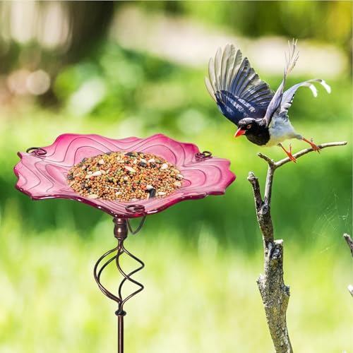 Baño para pájaros exterior anticaídas con base estable y hierro resistente a clima 4