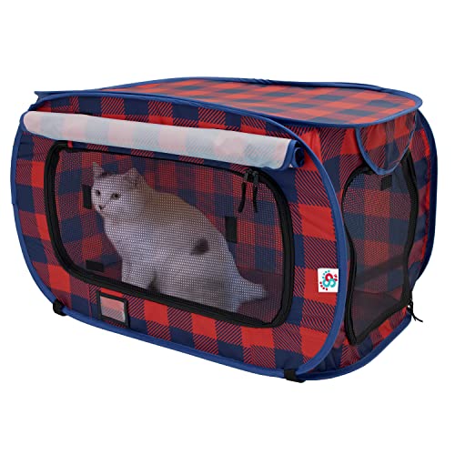 Image of Annual Holiday Carrier