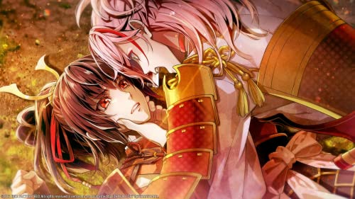 birushana rising flower of genpei limited edition - nintendo switch