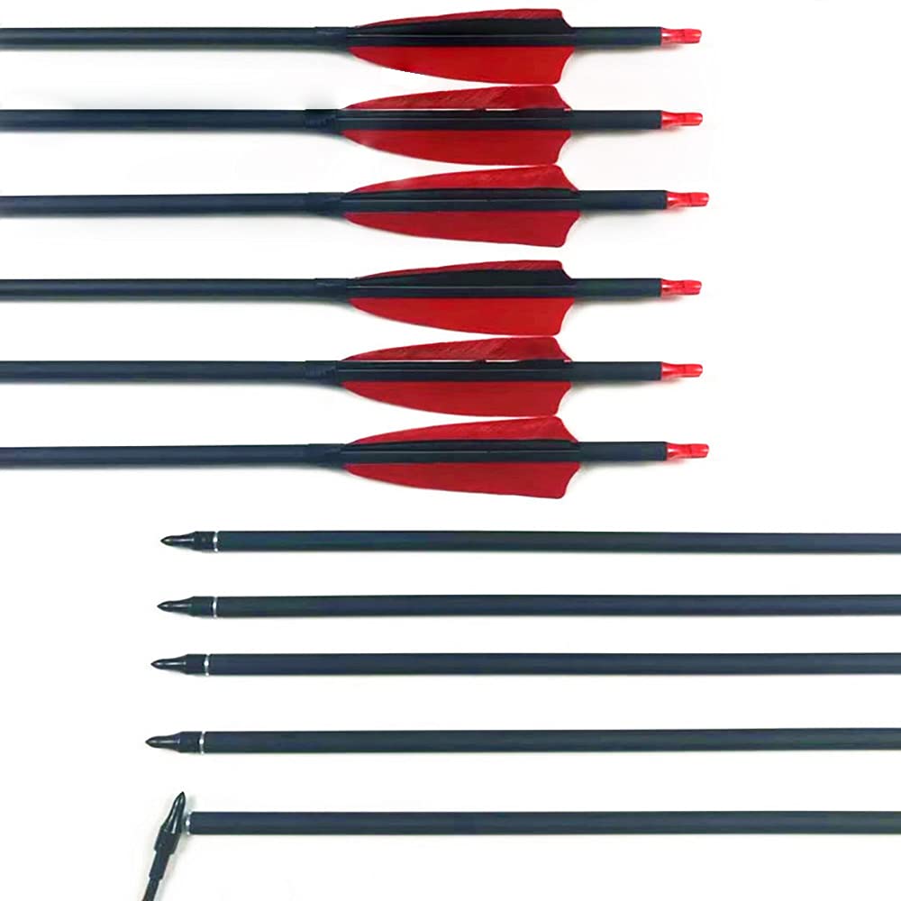 ACCMOS Tiro con L'Arco Frecce da Caccia 30" Freccia in Carbonio ID 6,2 mm Spine 500 600 Freccia Pratica 4" Piuma di Tacchino Punte a Vite Rimovibili, per Arco Composto Arco Ricurvo Arco Lungo