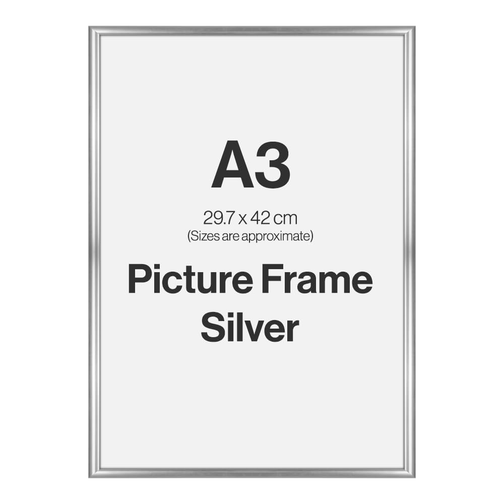 Home Selections Silver Modern A3 Photo Frame For A3 (29.7 X 42Cm) Photos Or Pictures, Plexi Glass, Wall Mounted Landscape Or Portrait