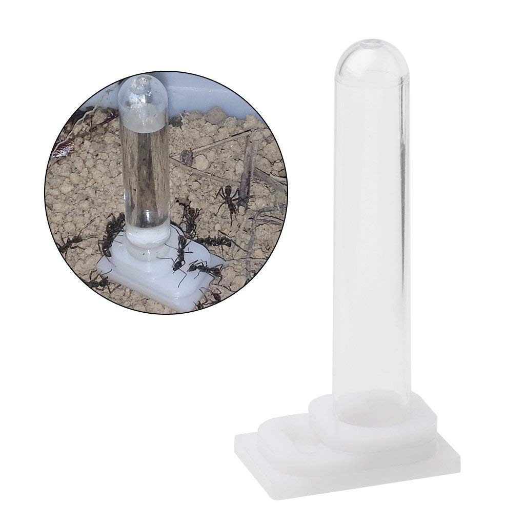 Dispensador de agua para hormigas, forma única de tubo, material acrílico, para colgar, uso interior, 3x2x6,5 cm, transparente, alimentado