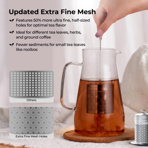 Reinmoson Large Tea Infuser for Loose Tea & Spice Infuser for Cooking, Extra Fine Mesh Tea Strainers, 304 Stainless Steel Loose Leaf Tea Steeper for Black Tea, Rooibos, etc