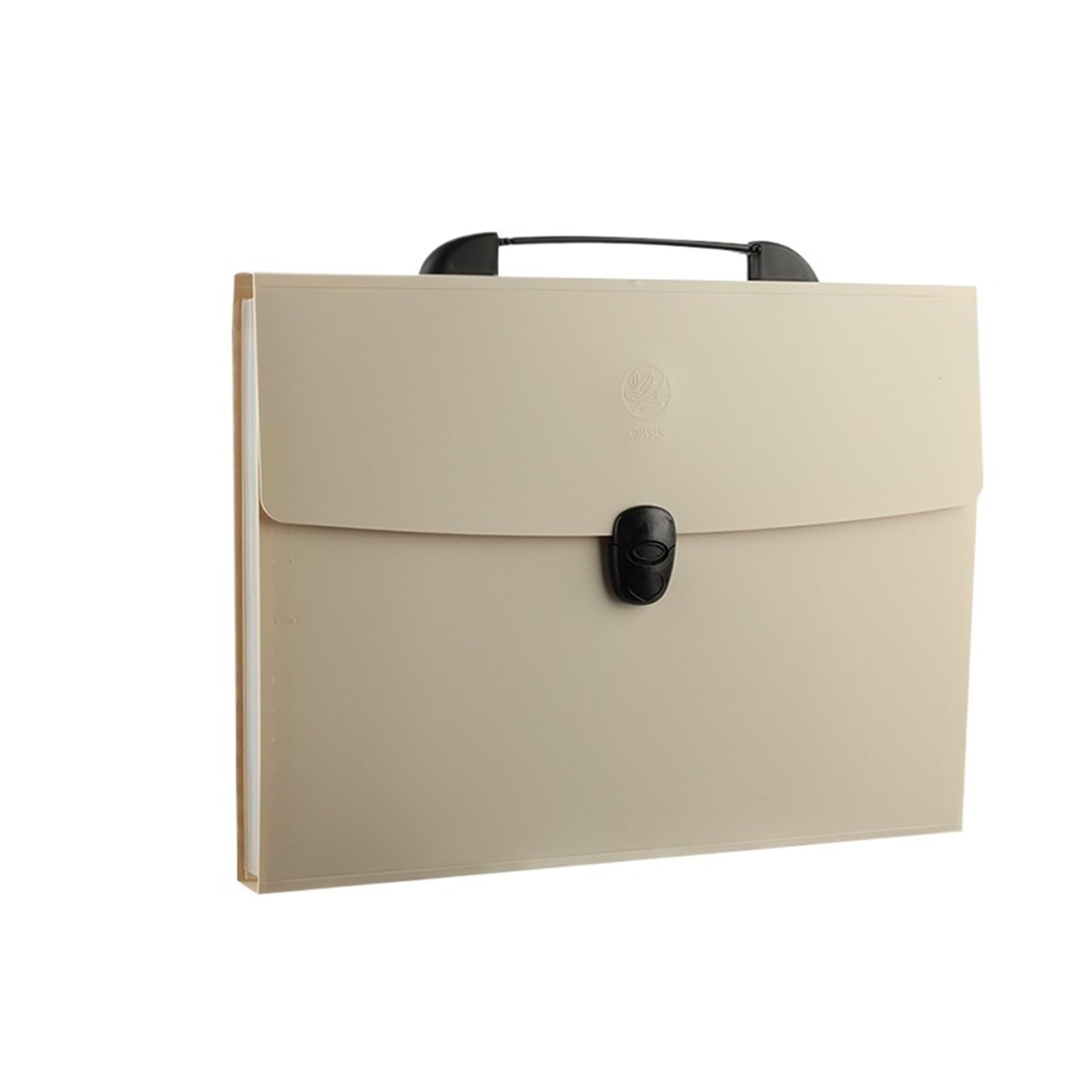 Borse di File Mesh Cartella portadocumenti A4, a strati, elegante, organizer da scrivania for materiale scolastico, ufficio, carta for test, cancelleria(Beige)