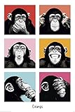 (24x36) The Chimp Pop Art Print Poster