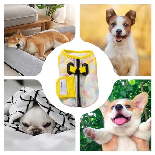 Veste rafraîchissante pour chien pour partager des étés heureux ensemble - 5