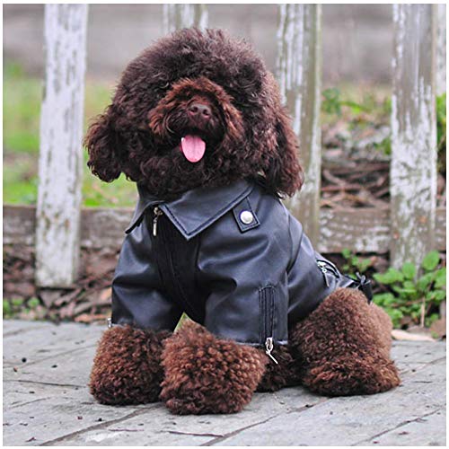 The Best Cat Leather Jacket 15 Cuteboom Dog Leather Jacket Pet Cool Motorcycle Clothing Dog Winter ...