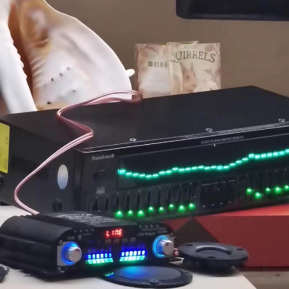 Professioneller EQ8000 Audioprozessor EQ Equalizer, Bluetooth 5.4, Optischer/Koaxialer Decoder, USB-Hi-Fi-Vorverstärker mit Fernbedienung