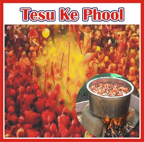 Image of J Organics Dry Tesu k Phool | Palash | Dhak Ka Phool | Butea Monosperma | Pack Of 50g