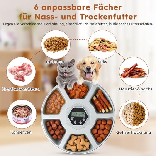 Futterautomat Katze Nassfutter Katzenfutter Automat mit Kühlung, Nassfutterautomat für Katzen Kabellos, 6 Mahlzeiten Katze Hund, 2 Kühlakkus, Automatischer Futterspender Hund mit Akku Timer