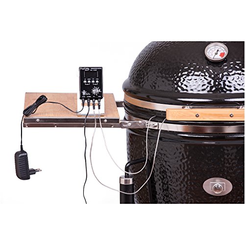 Preisvergleich Produktbild Monolith Thermometer DigiQ DX2 Junior